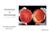 Introduction to Microbiology€¦ · Introduction to Microbiology Anas Abu-Humaidan M.D. Ph.D. Lecture 21. ENTEROBACTERIACEAE / Classification •More than 50 genera and hundreds