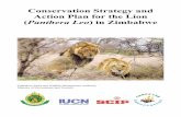 Conservation Strategy and Action Plan for the Lion · The Zimbabwe Conservation Strategy and Action Plan for the Lion will guide the conservation and management of this important