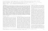 Community heterogeneity of Early Pennsylvanian peat mirespersonal.colby.edu/~ragastal/RAG_reprints/RAG2004b.pdf · William N. Ware 1109 Wynterhall Land, Dunwoody, Georgia 30338, USA