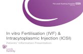 In vitro Fertilisation (IVF) & Intracytoplasmic Injection ... · In vitro Fertilisation (IVF) & Intracytoplasmic Injection (ICSI) ... • Folic acid before and during treatment and