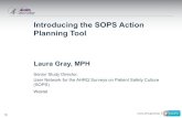 Action Planning for the SOPS Surveys-Introducing …...10 Introducing the SOPS Action Planning Tool Laura Gray, MPH Senior Study Director, User Network for the AHRQ Surveys on Patient
