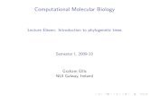 Computational Molecular Biology - NUI Galwayhamilton.nuigalway.ie/teachingWeb/CompMolBio/ELEVEN/eleven.pdfComputational Molecular Biology - Lecture Eleven: Introduction to phylogenetic