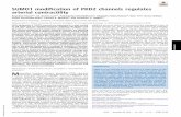 SUMO1 modification of PKD2 channels regulates …SUMO1 modification of PKD2 channels regulates arterial contractility Raquibul Hasana,1, M. Dennis Leoa,1, Padmapriya Muralidharana,