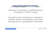 Structure, Dynamics, and Mechanical Properties in Soft ...Dynamics and mechanics in attractive colloids, forces on particles, and force transduction in cytoskeleton networks ¥Rigidity-jamming-glass