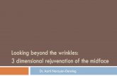 Looking beyond the wrinkles: 3 ... - Changes Clinic · Fillers were initially used in a two dimensional manner to “flatten out” creases / folds in the skin. This was in the hope