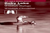 U.S. Fish & Wildlife Service Ruby Lake...Ruby Lake National Wildlife Refuge was established in 1938. It encompasses 37,632 acres at the south end of Ruby Valley. The refuge is 16 miles