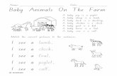 Baby Farm Animals - studyladder.com...A baby pig is a piglet. A baby sheep is a lamb. A baby duck is a duckling. A baby chicken is a chick. A baby goat is a kid. A baby horse is a