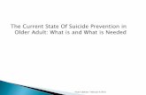 The Current State Of Suicide Prevention in Older Adult ......Nationally Age group with the highest rate of suicide: +65 years old Older adults 13% of the population and 18% of the