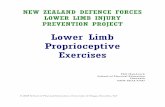 Lower Limb Proprioceptive Exerciseshealth.nzdf.mil.nz/assets/Uploads/Lower-limb... · • Check that the entire lower limb kinetic chain contributes to the movement • Check maintenance