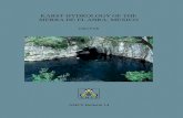 KARST HYDROLOGY OF THE SIERRA DE EL ABRA, MEXICO3.2. Karst geomorphic features in the region 42 3.3 Summary 43 4. Hydrology and hydrogeology 45 4.1. Introduction 45 4.2. Temporal aspects