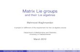 Matrix Lie groups - University of Toronto · 2014-01-25 · 1 Matrix Lie groups 2 Matrix exponential 3 Lie algebra of a matrix Lie group 4 Lie algebra of some famous matrix Lie groups