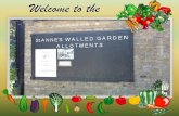 Allotment gardening in St Anne’s Park, together with other ...€¦ · Allotment gardening in St Anne’s Park, together with other allotment models within the city, has the care