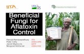 Beneficial Fungi for Aflatoxin Control · 2018-05-15 · 1. Buy Aflasafe directly, give to smallholder farmers for free OR highly subsidize and bundle with other inputs such as fertilizer