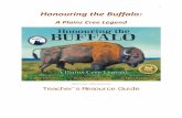 i Honouring the Buffalo - Judith Silverthorne · buffalo’s body. Then distribute to each student the name of an object made from part of the buffalo written on a sticky-note. Next,