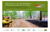 Drivers of Wildfire Suppression Costs...drivers behind wildfire suppression costs, how drivers vary in different situations, or what spe - cific tactics or approaches might best reign