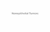 Nonepithelial Tumors - БГМУ · the tissue of origin with the suffix “-oma” (for example, a tumor of fatty tissue is a lipoma). • Clinical presentation: These tumors grow