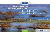 Nature Biodiversity LIFE - Transición Ecológica...LIFE-Shad Severn Conservation and Restoration of twaite shad in the Severn Estuary Special Area of Conservation LIFE15 NAT/UK/000753
