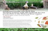 Integrated azolla-rice-duck-fish farming systems with SRI ...sri.ciifad.cornell.edu/.../NguyenNghiaFlyer070115.pdf · July 1st, 2015 1:00-2:00pm 100 Mann Library Refreshments provided