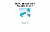 MNC from the North Pole - IPA JOURNALipajournal.com/uploads/2010/04/Gazprom.pdf · 2017-11-07 · 15.5 16.5 17.2 Electric power generation 13.9 16.9 16.9 (Gazprom Sustainability Report