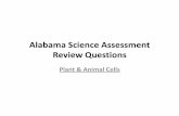 Alabama Science Assessment Review Questionsimages.pcmac.org/SiSFiles/Schools/AL/MadisonCity/MillCreekElem/U… · Alabama Science Assessment Review Questions Plant & Animal Cells.