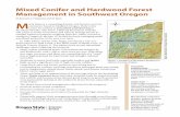 Mixed Conifer and Hardwood Forest Management in Southwest … · mixed species forest. Stand and Forest Conditions History A few scattered, large-branched pines and oaks make up the