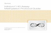 Infinium HD Methylation Assay Protocol Guide (15019519) · For Research Use Only. Not for use in diagnostic procedures. ILLUMINA PROPRIETARY Material # 20002138 Document # 15019519