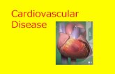 Cardiovascular Disease - uml.edufaculty.uml.edu/jhojnacki/83.123/Documents/HeartDisease.pdf · Cardiovascular disease: heart & blood vessels (vascular) 1. > 70 million people in US