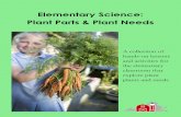 Elementary Science: Plant Parts & Plant Needs · This lesson focuses on the plant parts and characteristics of vegetables. Specifically, students will learn that plants have edible