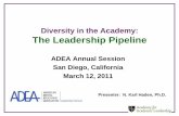 Diversity in the Academy: The Leadership Pipeline · to feed the leadership pipeline • Ensuring diverse cohorts is an area for continued growth • Challenges at home institutions