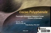 Cocoa Polyphenols - Infobosques · 2015-05-06 · hypertension and hypercholesterolemia, can activate several proinflammatory enzyme systems, such as xanthine oxidase, NADH/NADPH
