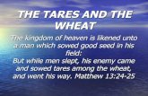 THE TARES AND THE WHEAT - The Simple GospelTHE TARES AND THE WHEAT The kingdom of heaven is likened unto a man which sowed good seed in his field: But while men slept, his enemy came