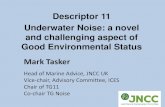 Descriptor 11 Underwater Noise: a novel and challenging ... Groups... · Underwater Noise: a novel and challenging aspect of Good Environmental Status Head of Marine Advice, JNCC