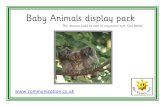 Baby Animals display pack - Communication4All Display/Baby Animals.pdf · Baby Animals display pack  This resource could be used in conjunction with ‘Owl Babies’