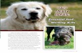 RAW MEATY BONEScult” dogs become contented and more easily trained when changed over to a raw meaty bones diet. Dogs of all ages and breeds experience an improvement in general health.