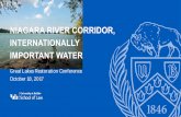 NIAGARA RIVER CORRIDOR, INTERNATIONALLY IMPORTANT … · Niagara as a Ramsar Site • Proposal to Nominate the Niagara River Corridor: (§ The river itself – shore to shore, lake