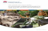 A community engagement project to help animals …...Our responsibility. A community engagement project to help animals survive natural disasters. Volume 1 – Project strategy First