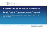 DSRIP Independent Assessor€¦ · V. Project Risk Scores ... identified as having varying levels of risk. A. Organizational Assessment . ... Sisters of Charity Hospital, and is supported