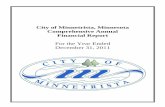City of Minnetrista, Minnesota Comprehensive Annual ...financial and capital, and short-term and long-term Only assets expected to be used up and liabilities that come due during the