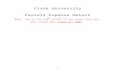 Clark University - Payroll Expense Detail · Web viewClark University NOTE: Due to the high content of the images they are best viewed when zoomed at >100%. Payroll Expense Detail