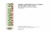 HAWAI‘I BROWNFIELDS CLEANUP REVOLVING …provides an overview of activities and transactions related to the Hawai‘i Brownfields Cleanup Revolving Loan Fund (HBCRLF), which was