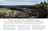Permafrost collapse is accelerating carbon releaseecoss.nau.edu/wp-content/uploads/2019/08/Turetsky...times taking sensitive scientific equipment with them. This type of thawing is