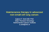 Maintenance therapy in advanced non-small cell lung cancer. · Cielanu et al. 663 Pemetrexed Better pain and hemoptisis control Continuation Chemotherapy Maintenance Paz-Ares et al