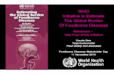 WHO Initiative to Estimate The Global Burden Of Foodborne ... · for ongoing exchange and communication are few. It is like two people trying to assemble a jigsaw puzzle, each with