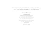 THEORETICAL MODELING OF ELECTRONIC TRANSPORT IN MOLECULAR … · THEORETICAL MODELING OF ELECTRONIC TRANSPORT IN MOLECULAR DEVICES Simone Piccinin a dissertation presented to the