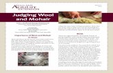 Judging Wool and Mohair - Texas 4-H€¦ · and marketing. Reliable information on the grades and quality of wool and mohair helps ranchers cal-culate the true value of these products.