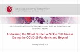 Addressing the Global Burden of Sickle Cell Disease During ... · WHO estimates that 10 donations per 1000 population are necessary to sustain any country’s blood transfusion requirements.