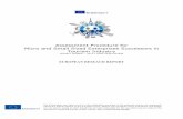 Assessment Procedure for Micro and Small Sized Enterprises ...cci.dobrich.net/wp-content/uploads/2016/09/BB... · concerning European travel have been encouraging and international
