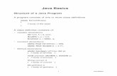 Java Basics - University of Iowaslonnegr/oosd/JavaBasics.pdf · Java Basics 4 Java Applications Stand-alone programs that run under control of the operating system: • May accept