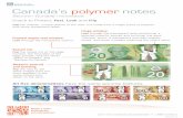 Canada’s polymer notes · Frosted maple leaf window Look through the transparent outline. Raised ink Feel the raised ink on the large number, the shoulders of the large portrait,