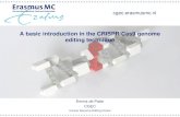 A basic introduction in the CRISPR/Cas9 genome editing ... · Cancer Genome Editing Center cgec.erasmusmc.nl . CRISPR/Cas9 CRISPR/Cas9 – The immune system of bacteria CRISPR/Cas9
